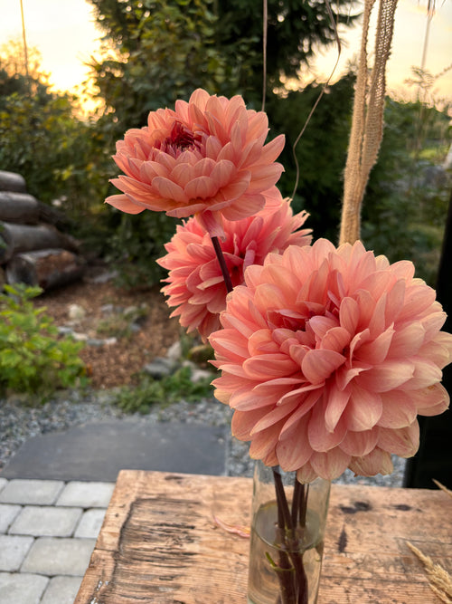 Château de la Bourdaisière