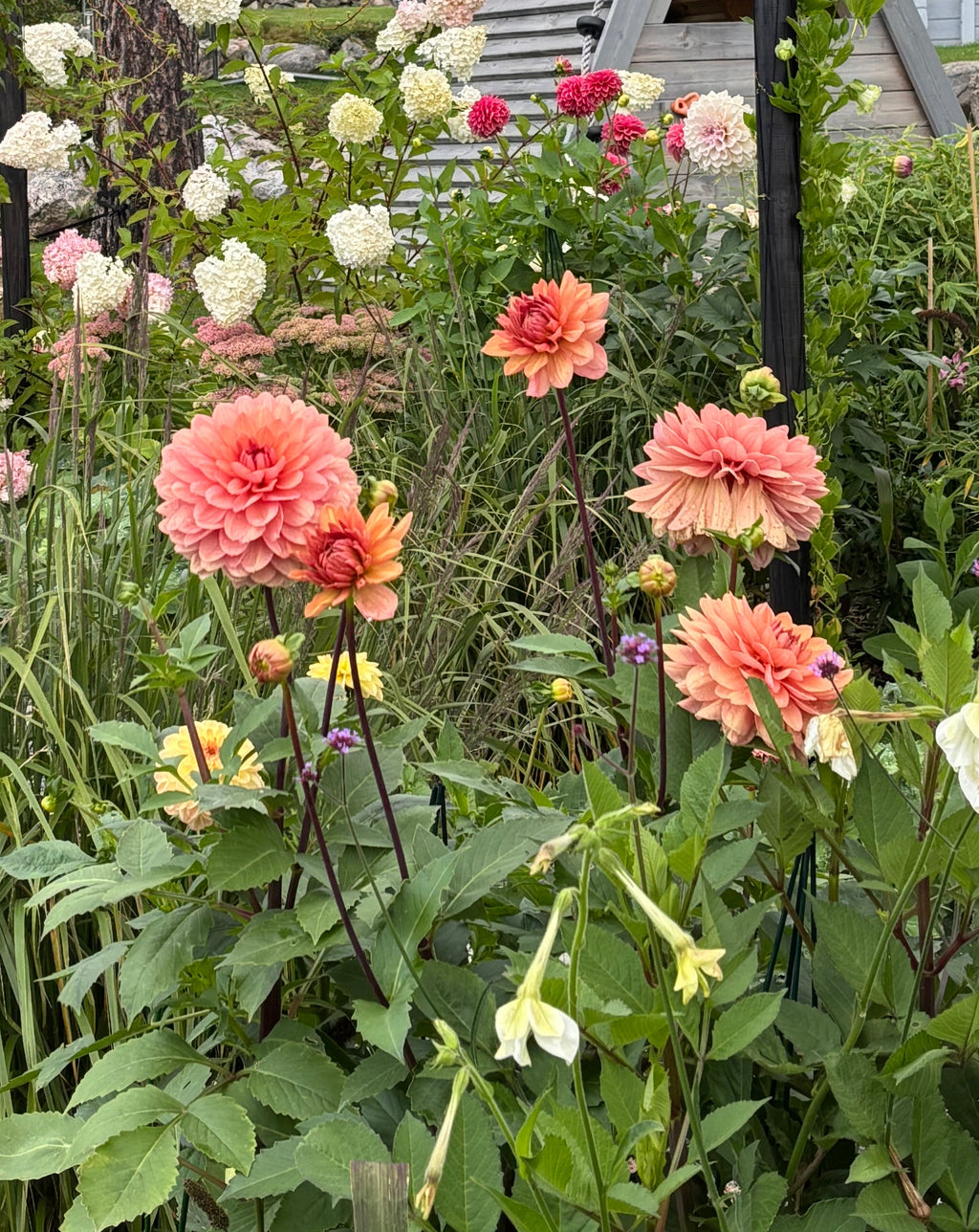 Château de la Bourdaisière